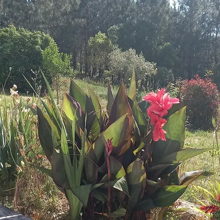 Quinta Do Centro