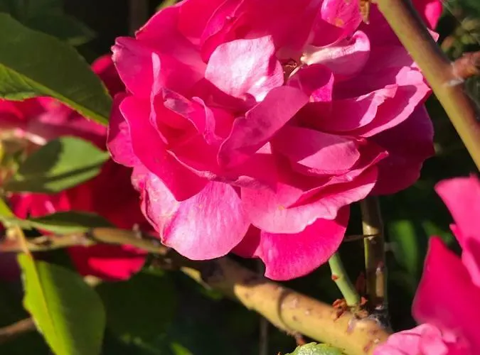 Quinta Do Centro Melrica